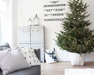 Why You Should Choose A Living Christmas Tree This Year Image